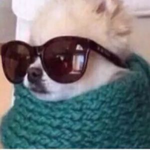 Meet your Posher, April